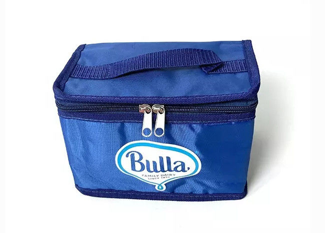 Waterproof Insulated Lunch Bag